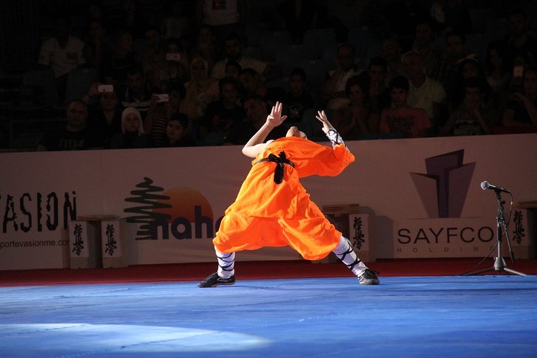 Martial Arts Festival